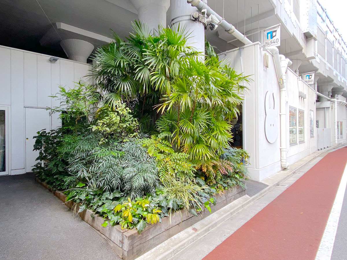 2k540 AKI-OKA ARTISAN