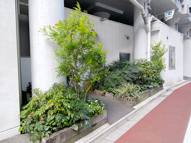 2k540 AKI-OKA ARTISAN