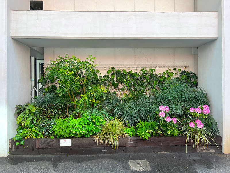 2k540 AKI-OKA ARTISAN