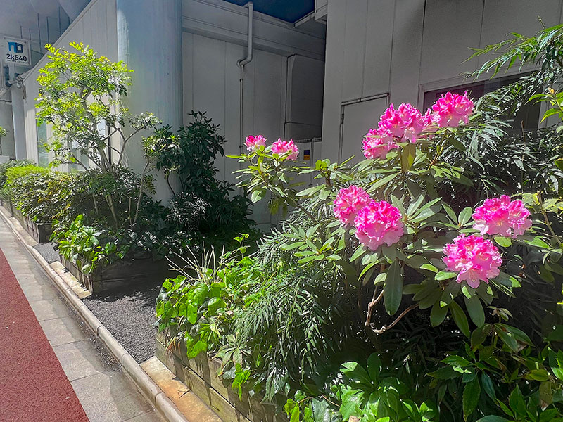 2k540 AKI-OKA ARTISAN