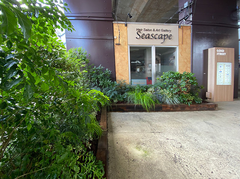 JR阿佐ヶ谷駅高架下商店街