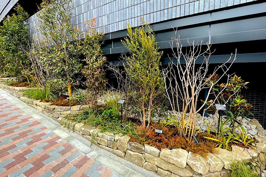 パークホームズ小石川ヒルテラス