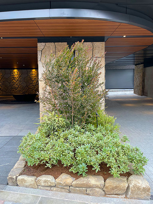 パークホームズ小石川ヒルテラス