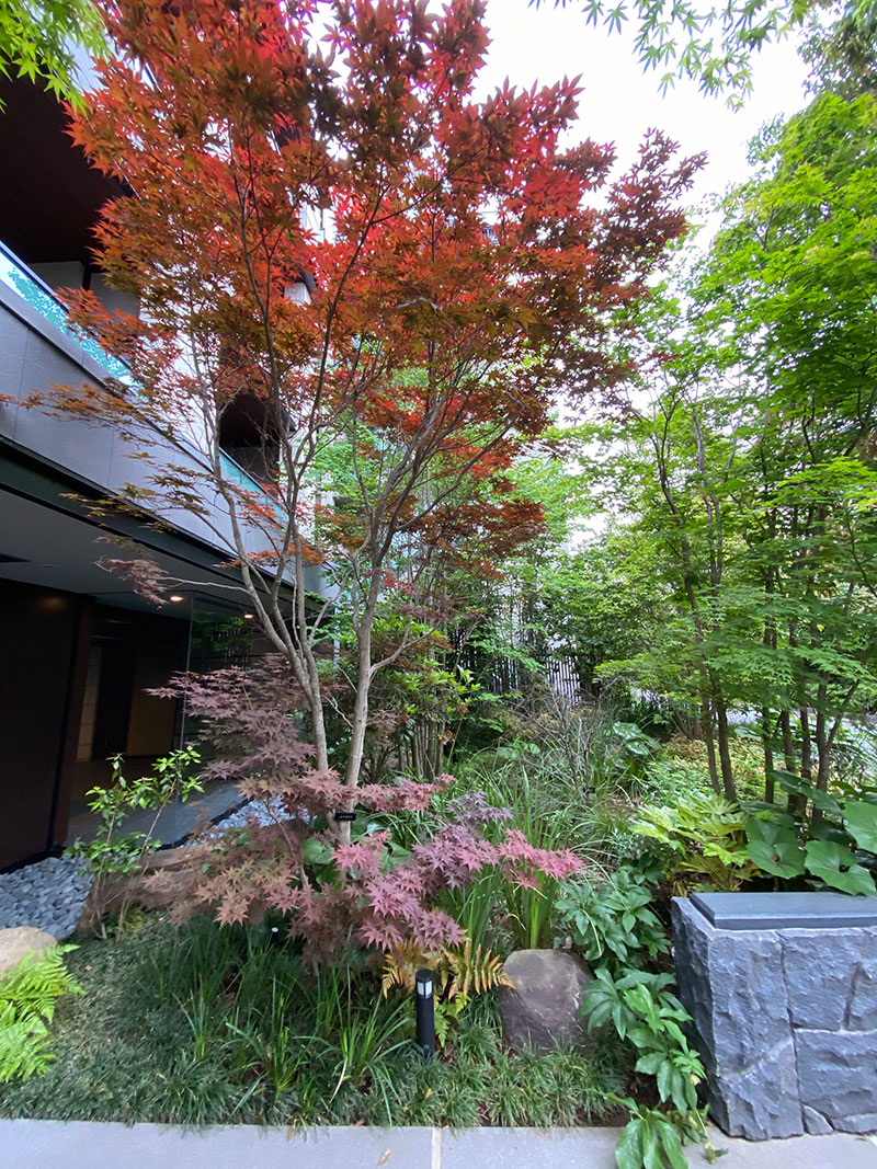 パークホームズ駒沢大学