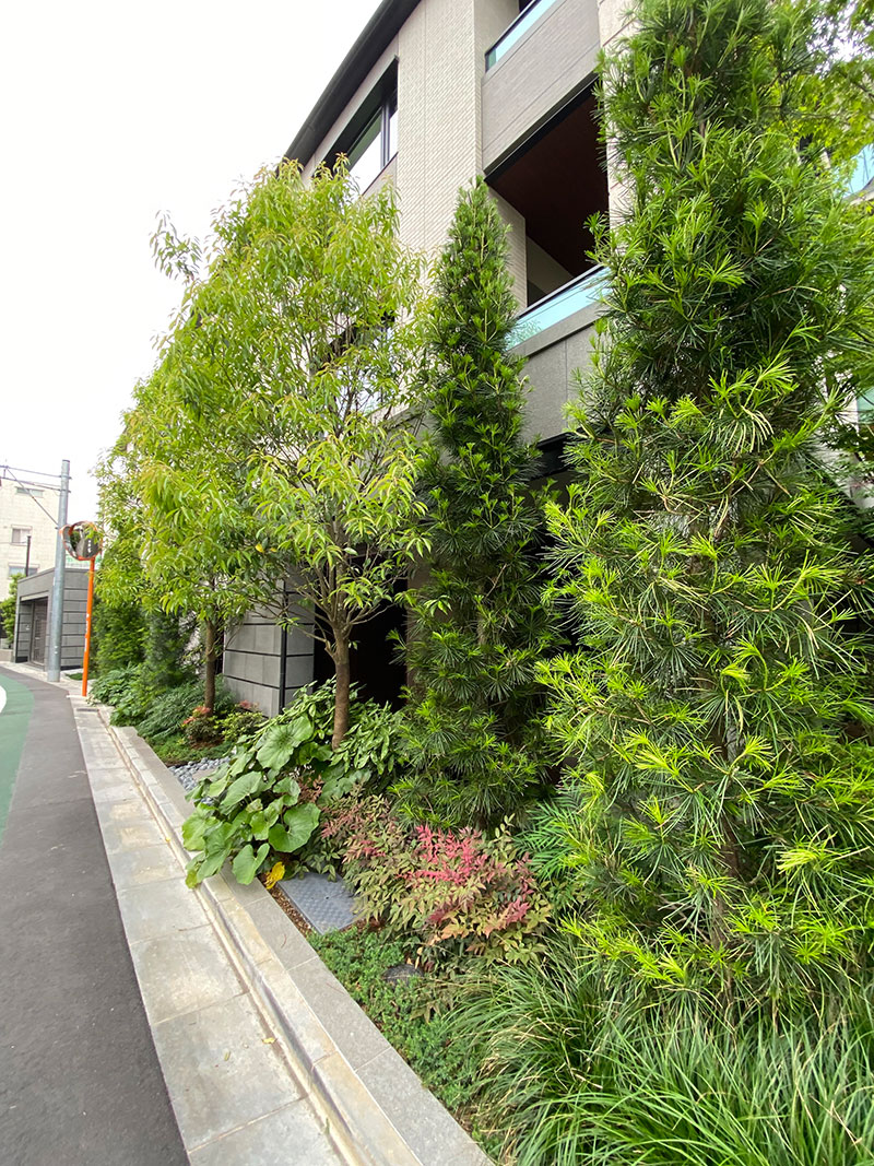 パークホームズ駒沢大学