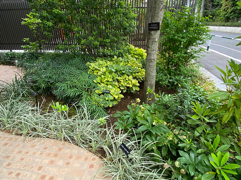 パークホームズ駒沢二丁目