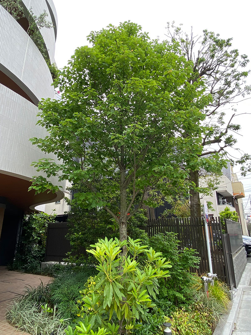 パークホームズ駒沢二丁目