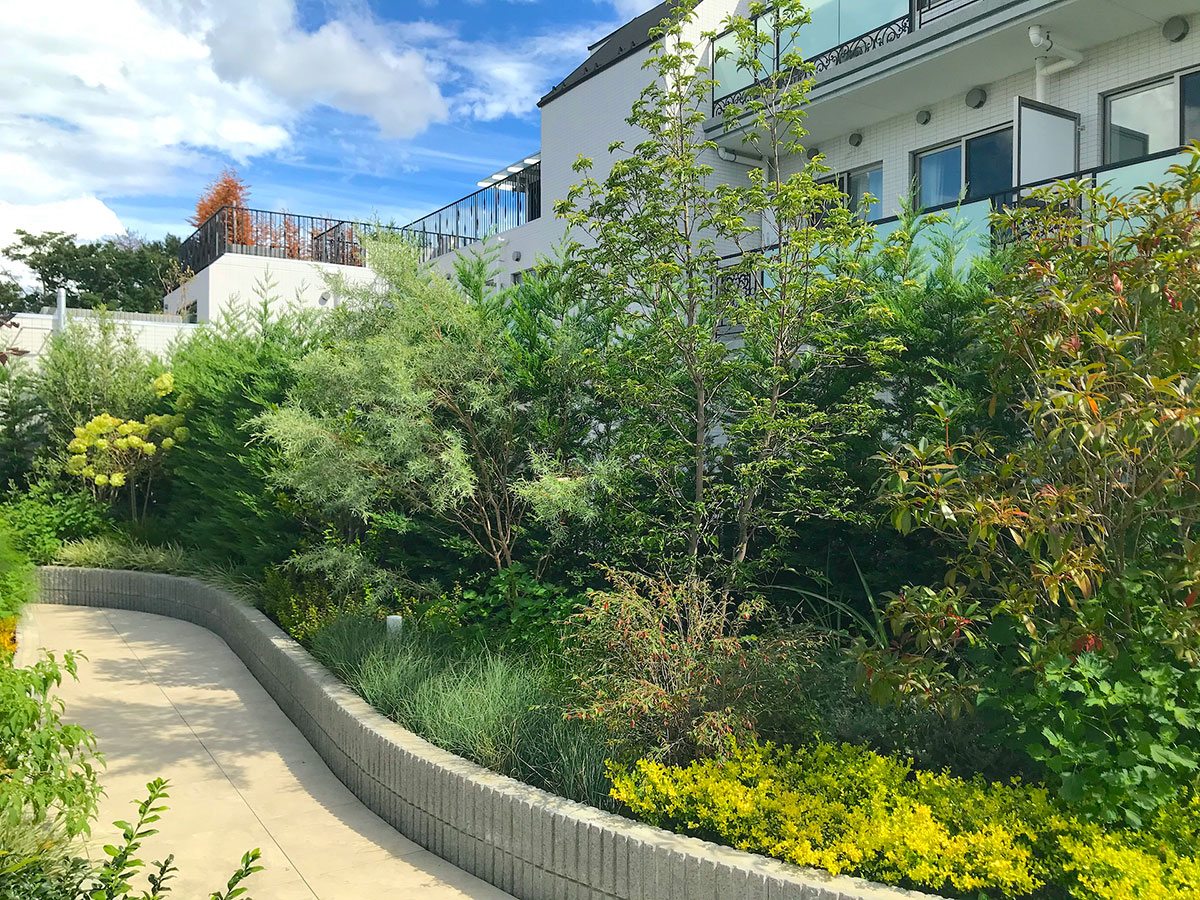 ロイヤルシーズン溝の口VIDA