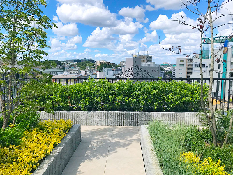 ロイヤルシーズン溝の口VIDA