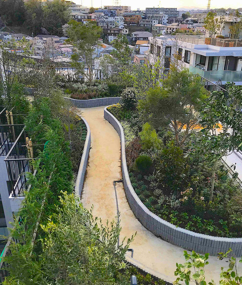 ロイヤルシーズン溝の口VIDA