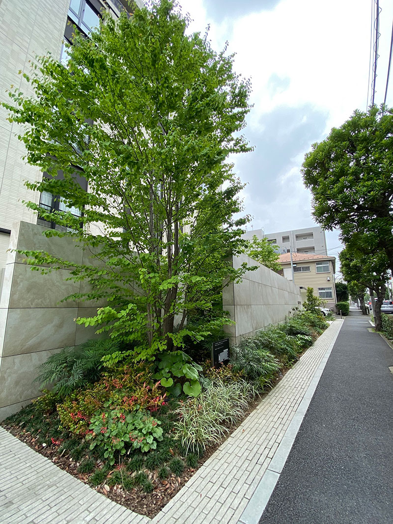 アールブラン武蔵境