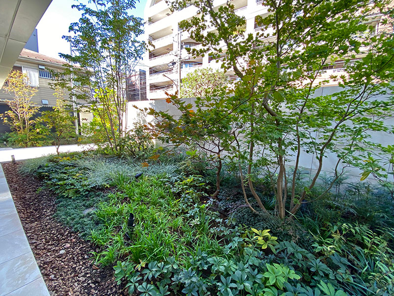 アールブラン武蔵境