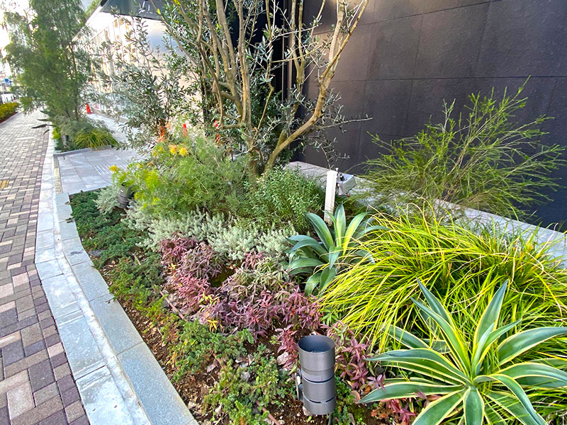 オークウッドホテル＆アパートメンツ麻布