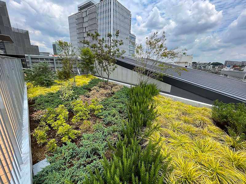 小田急ロマンスカーミュージアム