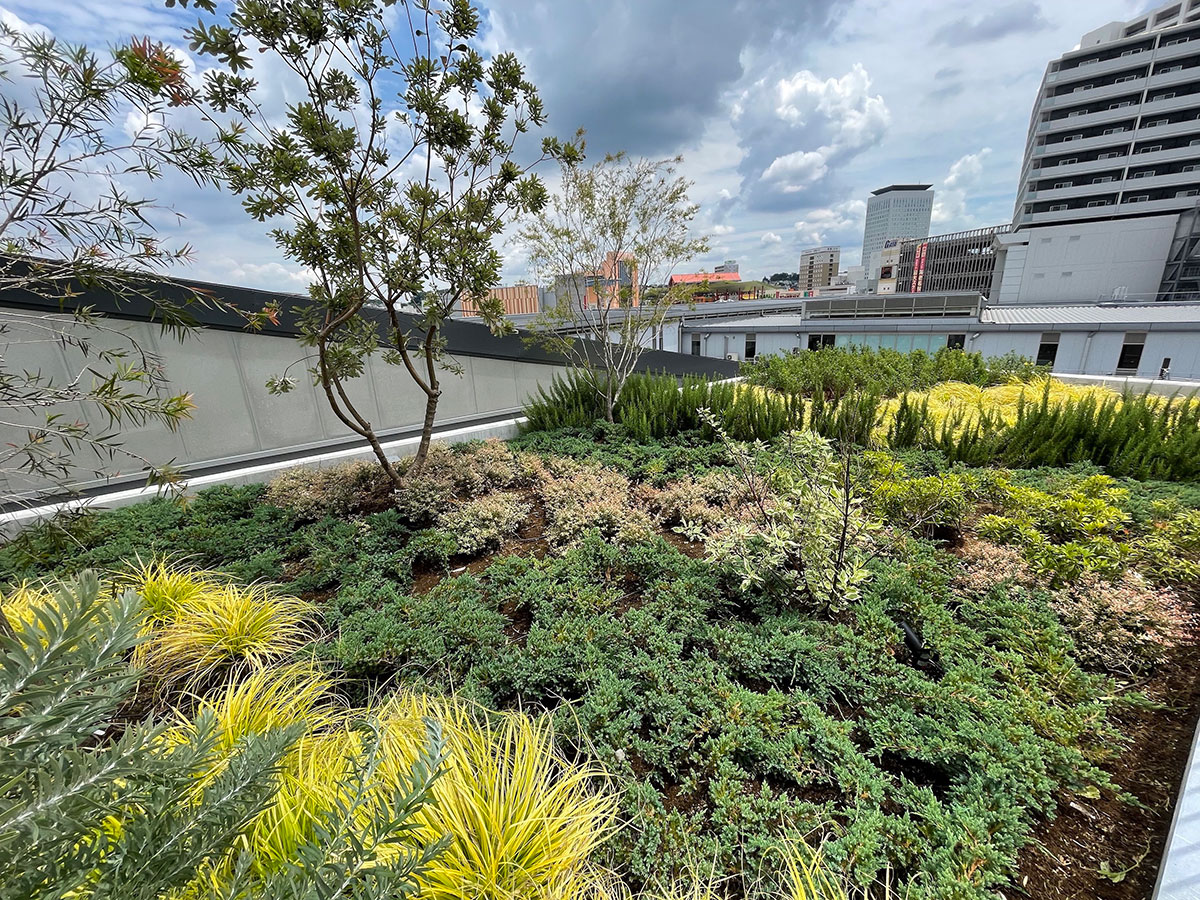 小田急ロマンスカーミュージアム