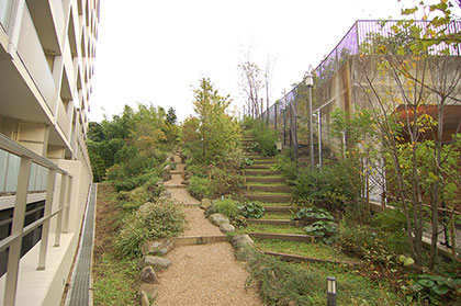 マスターアリーナ新百合ヶ丘